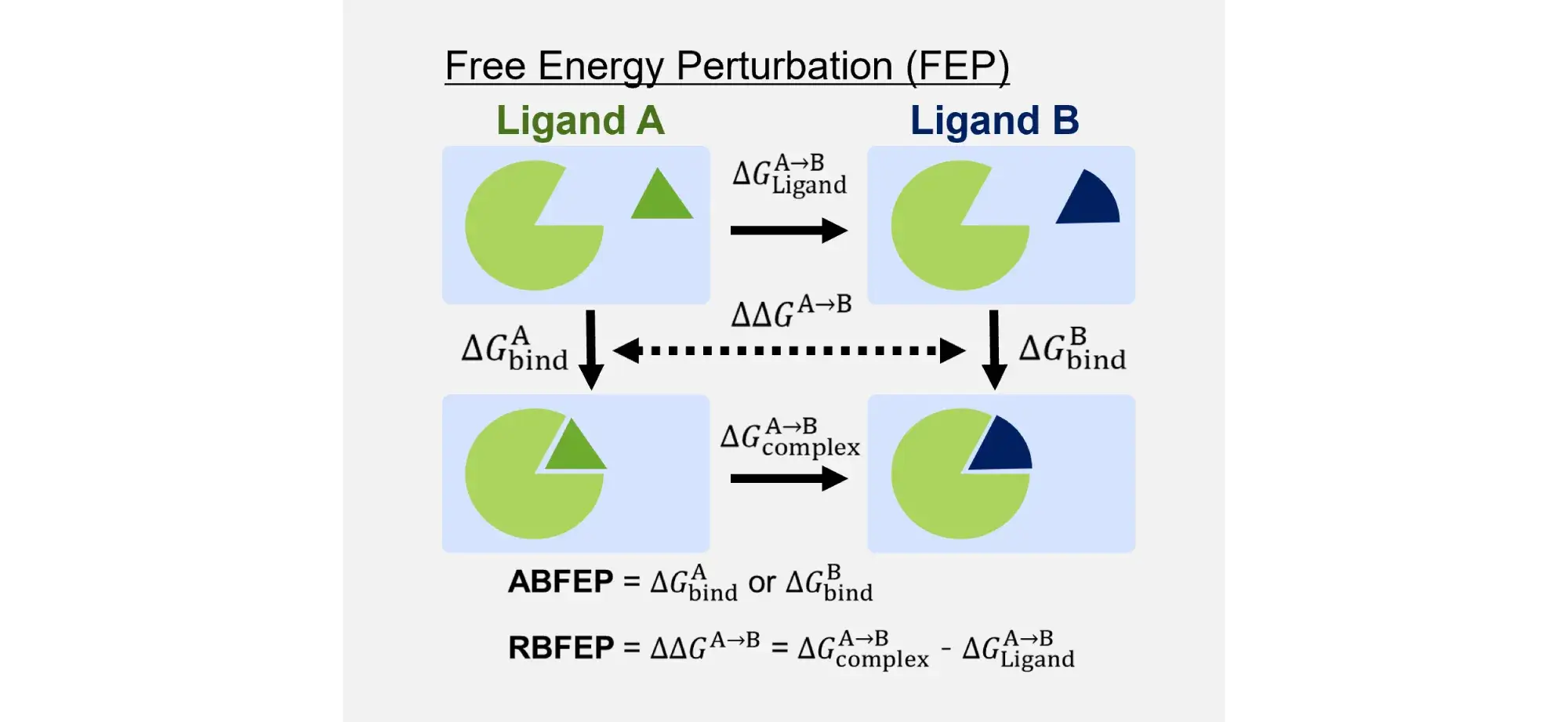 Free Energy Perturbation（FEP）について